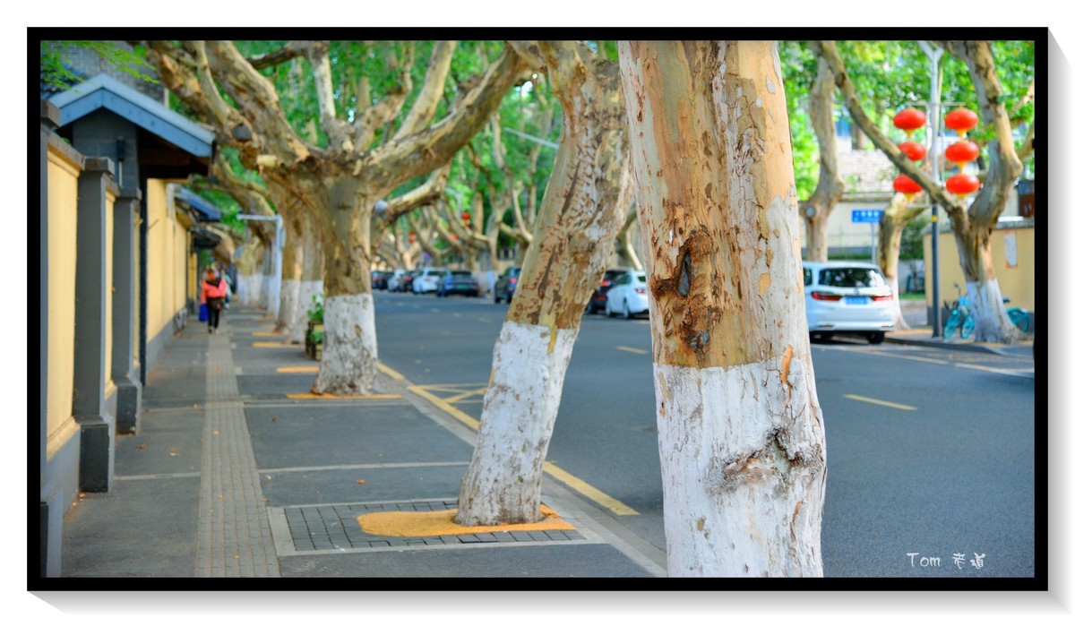 南京颐和路—很抓人很让人沉浸的地方