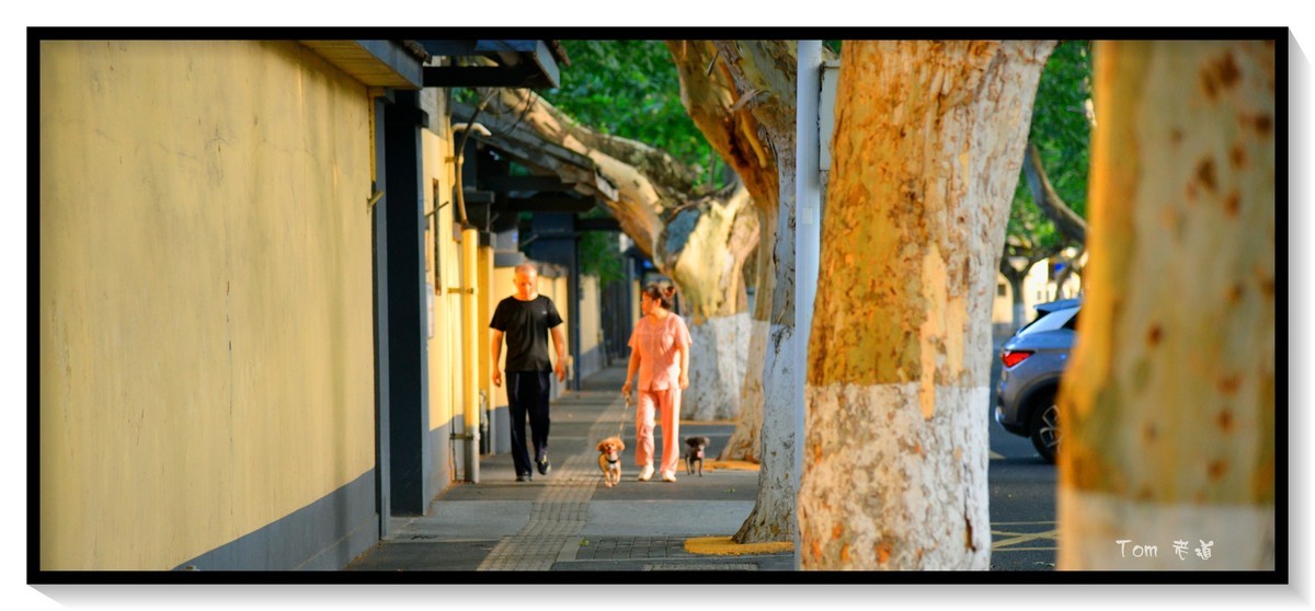 南京颐和路—很抓人很让人沉浸的地方