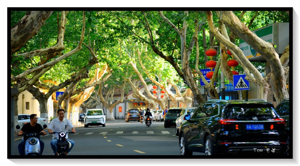 南京颐和路—很抓人很让人沉浸的地方