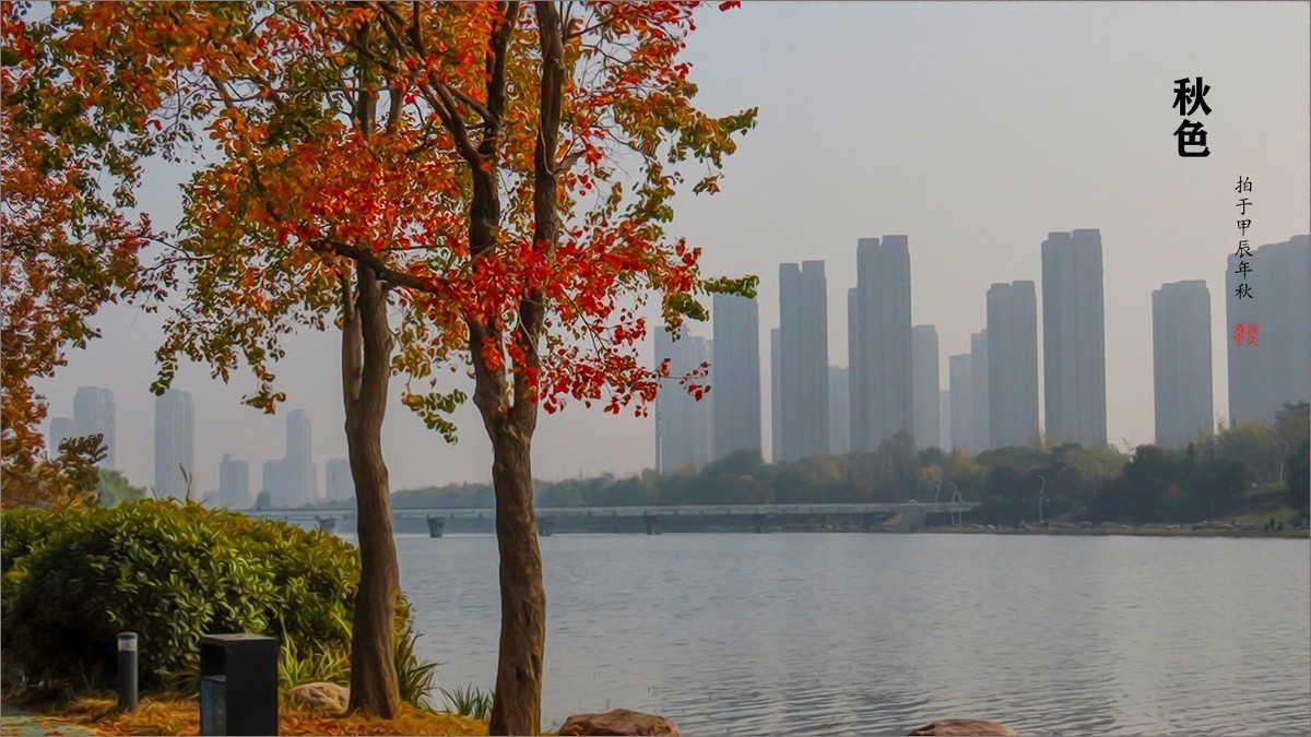 秋的浪漫秋色，秋实