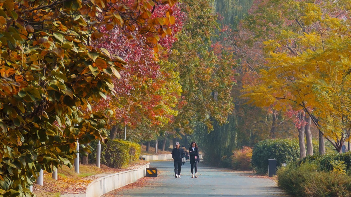 秋的浪漫秋色，秋实