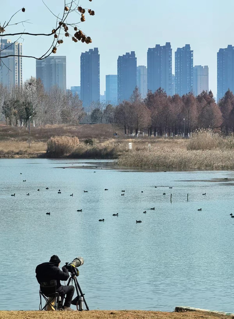 长枪短炮来拍鸟