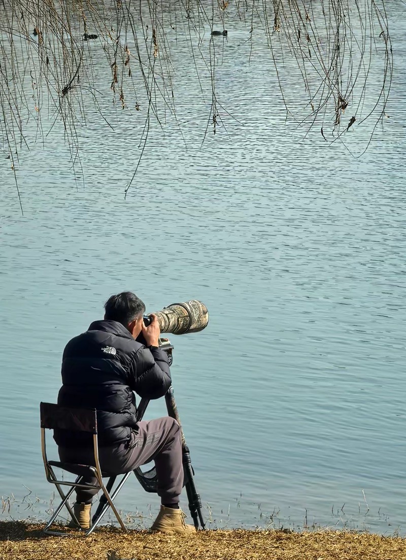 长枪短炮来拍鸟