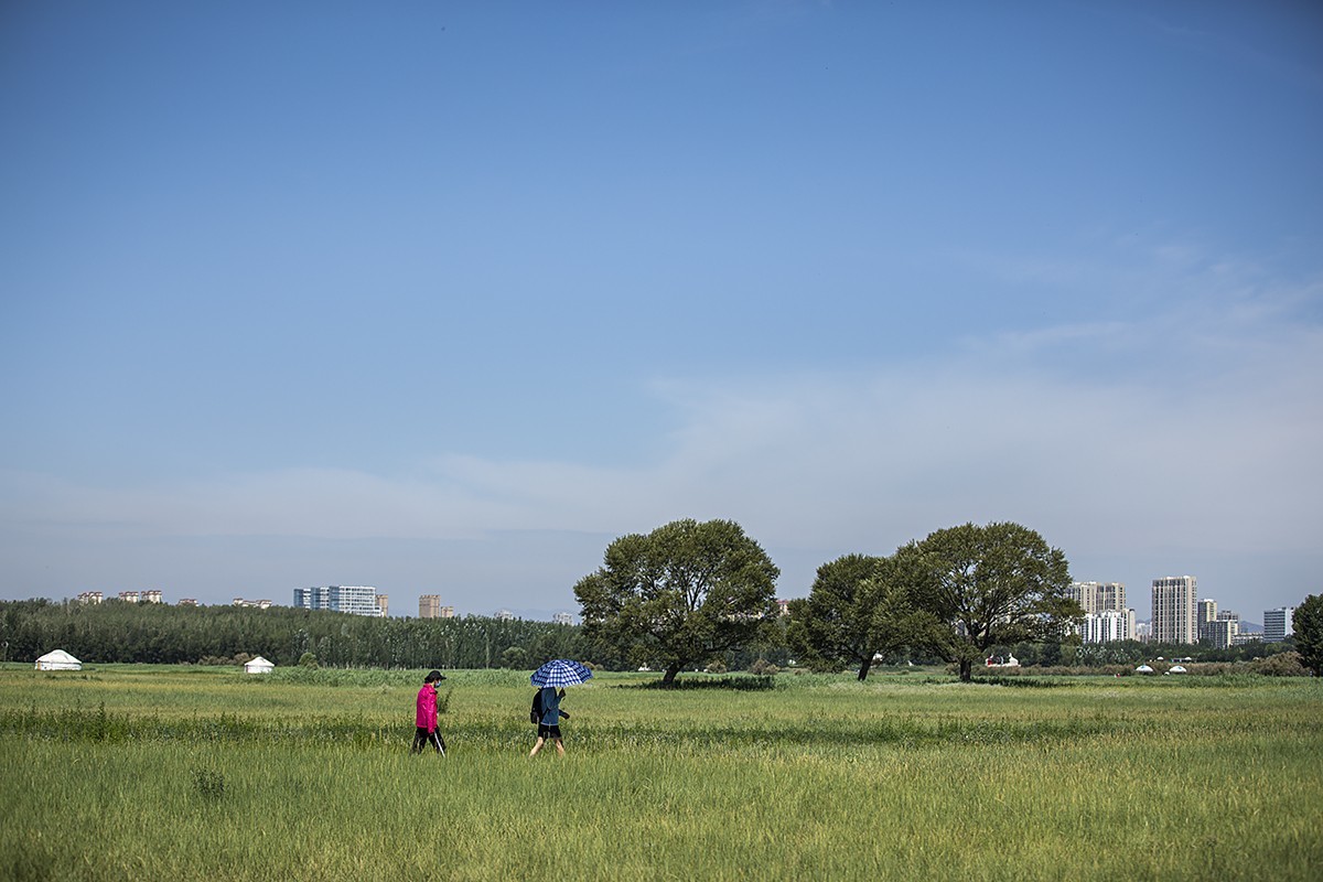 苍茫翠色流天际，闲庭信步结伴行。