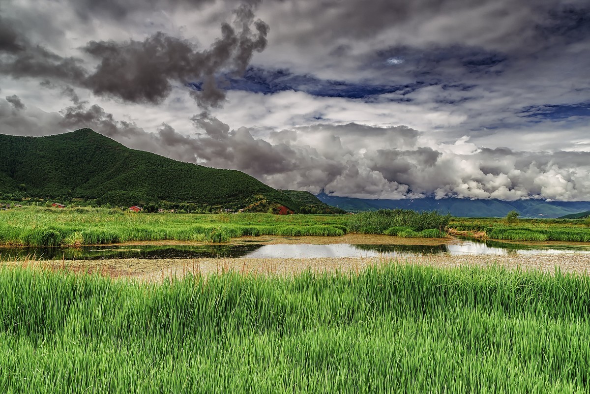 四川盐源 · 泸沽湖 · 草海