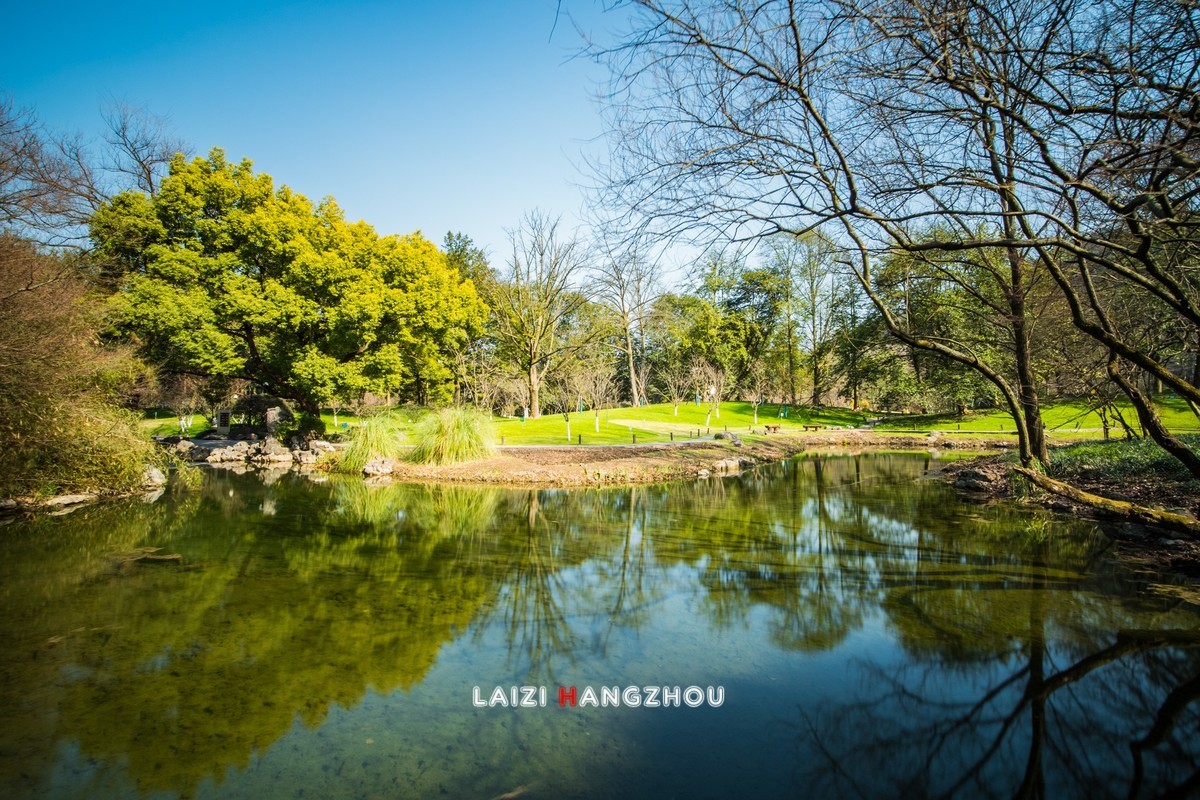 10档减光镜+慢门（4）