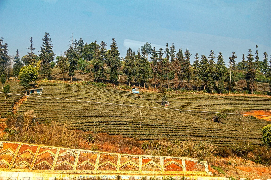 坐着火车到版纳沿途风光【3】