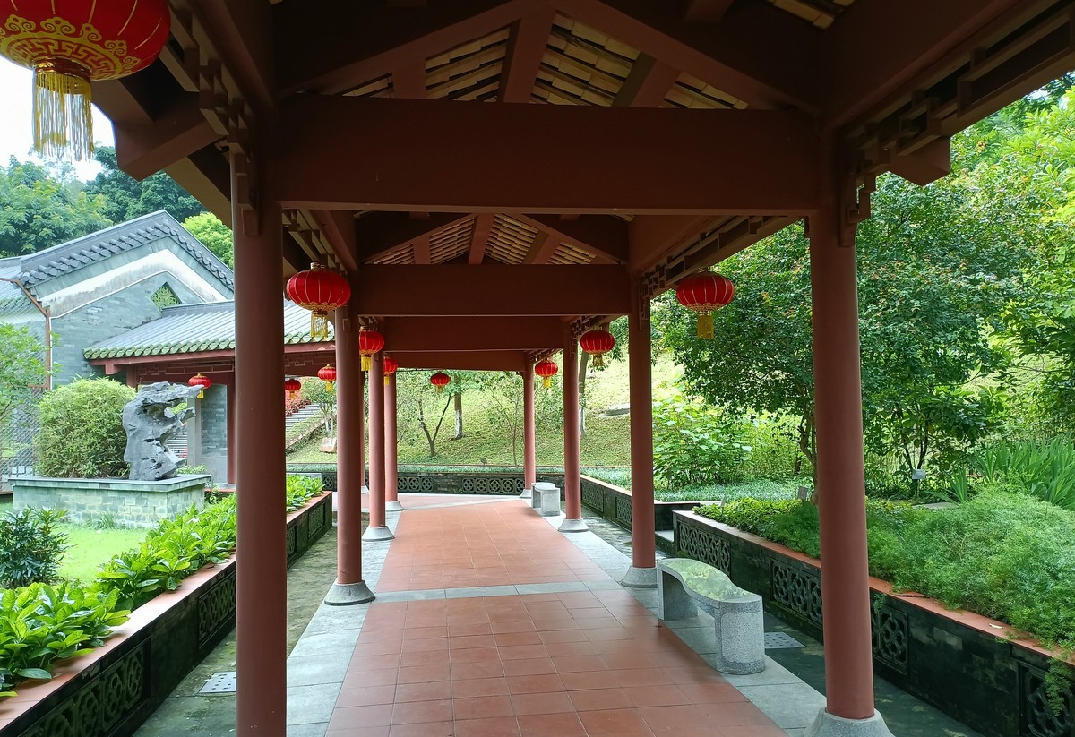 神农中药园-下。