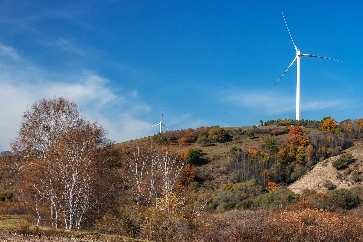 树树皆秋色，山山唯落晖。