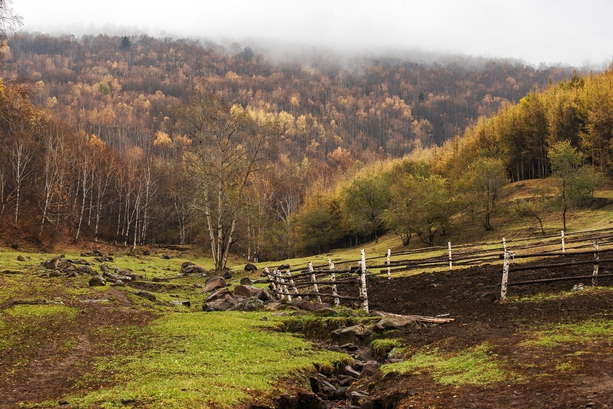 树树皆秋色，山山唯落晖。