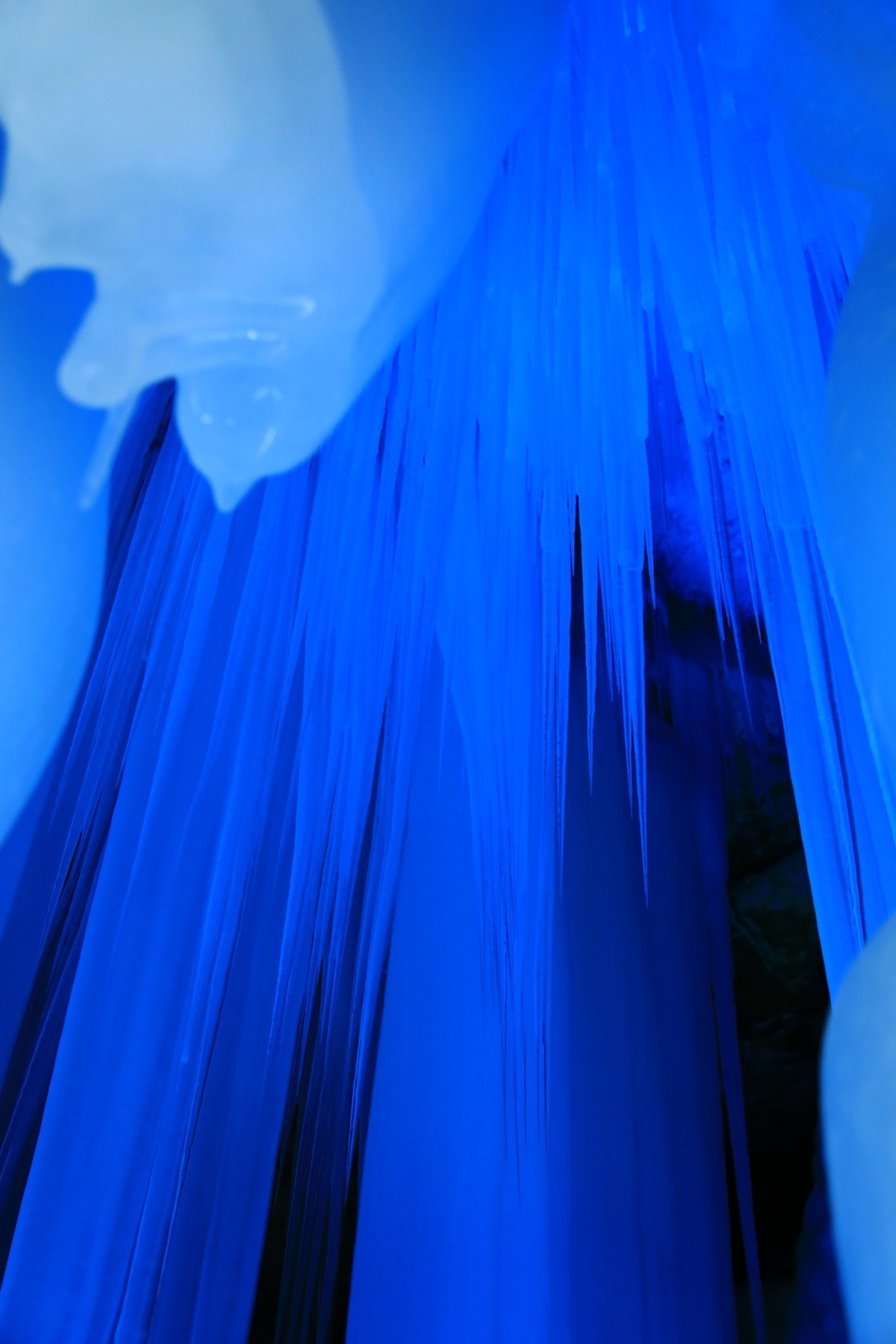 我只是把出去看到的随手记录下来（五十七）