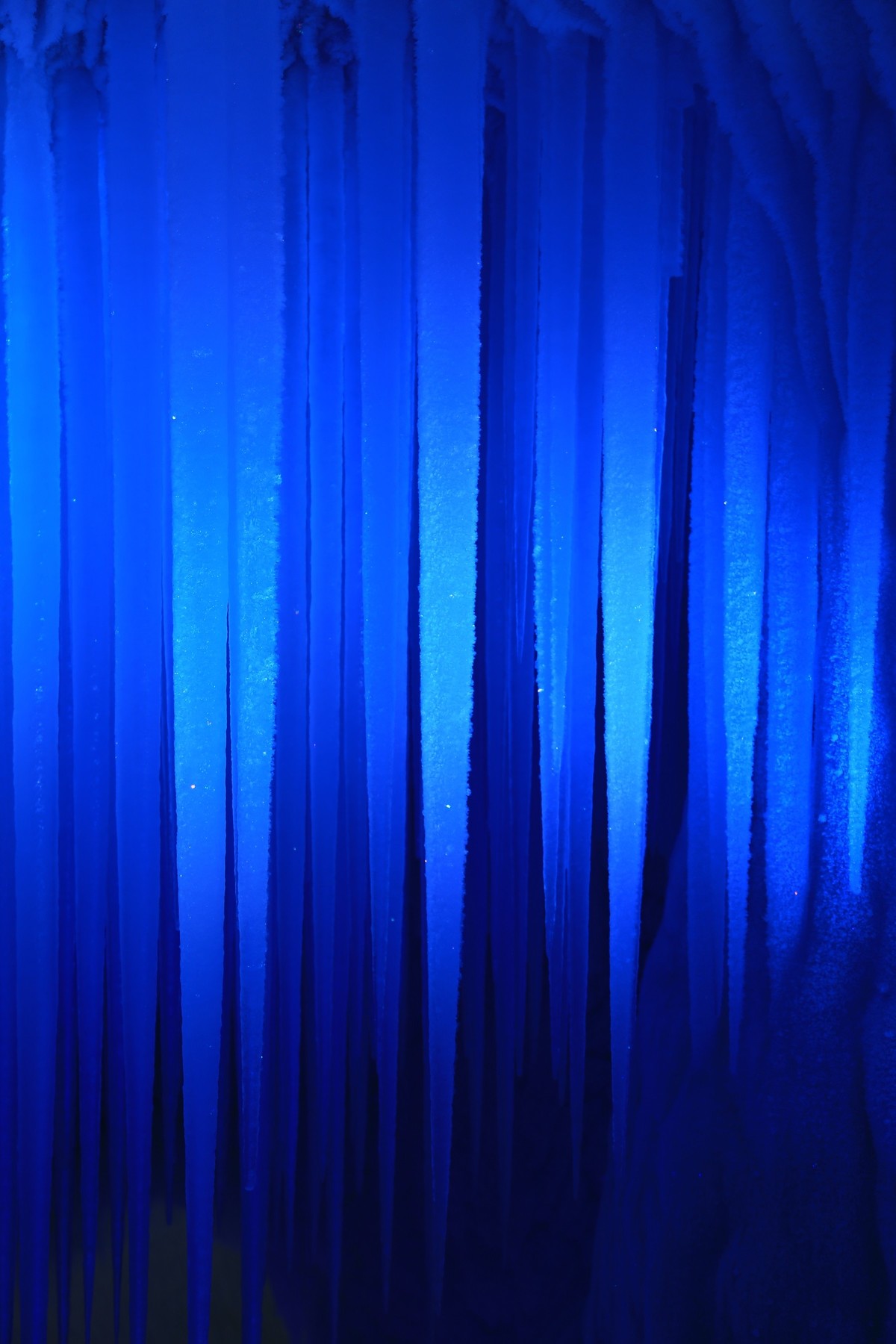 我只是把出去看到的随手记录下来（五十七）