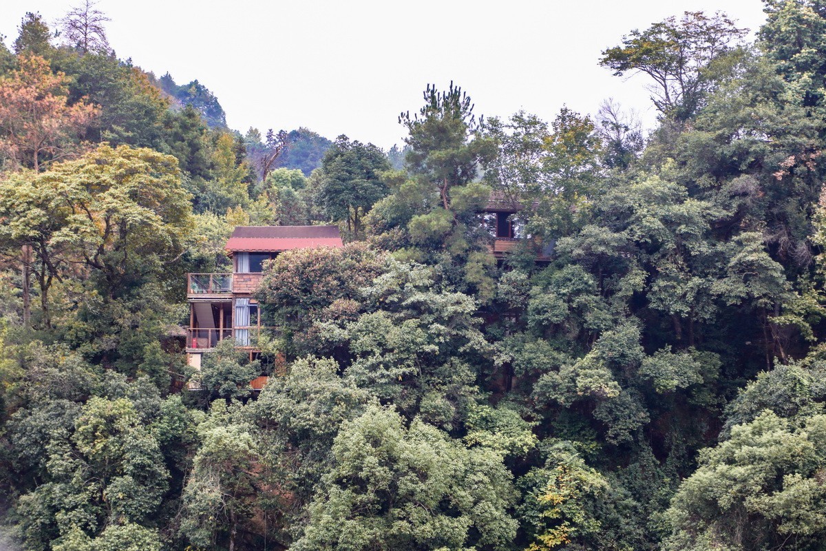 新安江山水画廊5漳谭千年古樟树