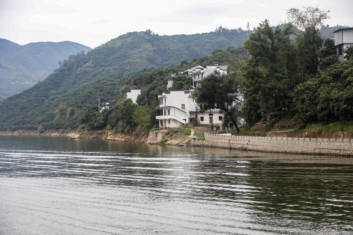 新安江山水画廊5漳谭千年古樟树