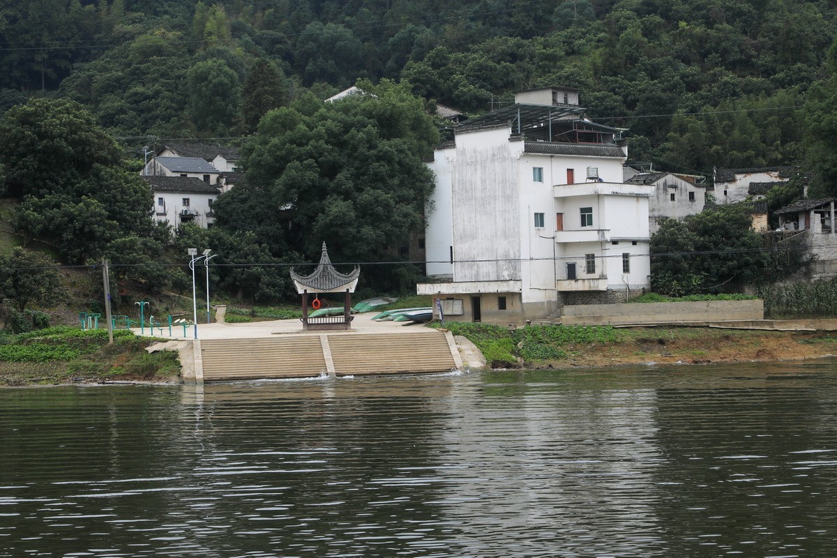 新安江山水画廊5漳谭千年古樟树