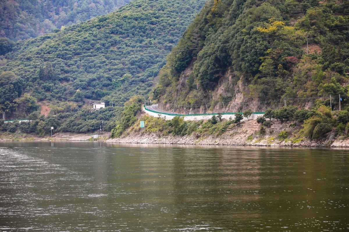 新安江山水画廊5漳谭千年古樟树