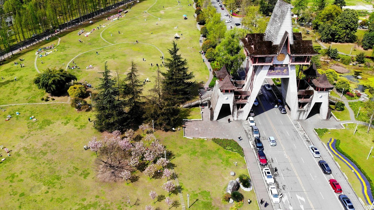 【航拍】樱花盛开的青城山