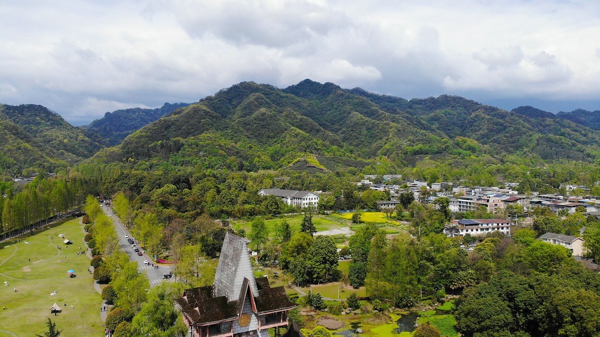 【航拍】樱花盛开的青城山