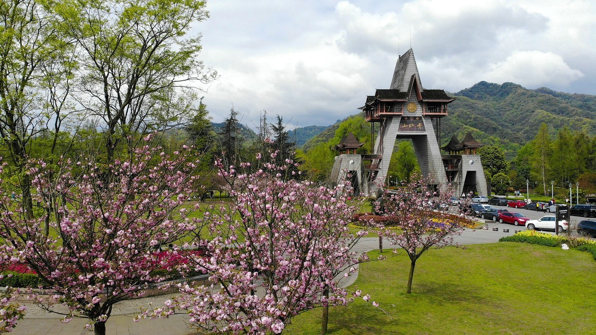 【航拍】樱花盛开的青城山
