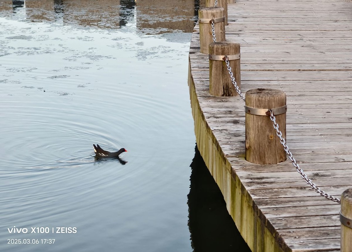 傍晚云溪河遛弯随拍