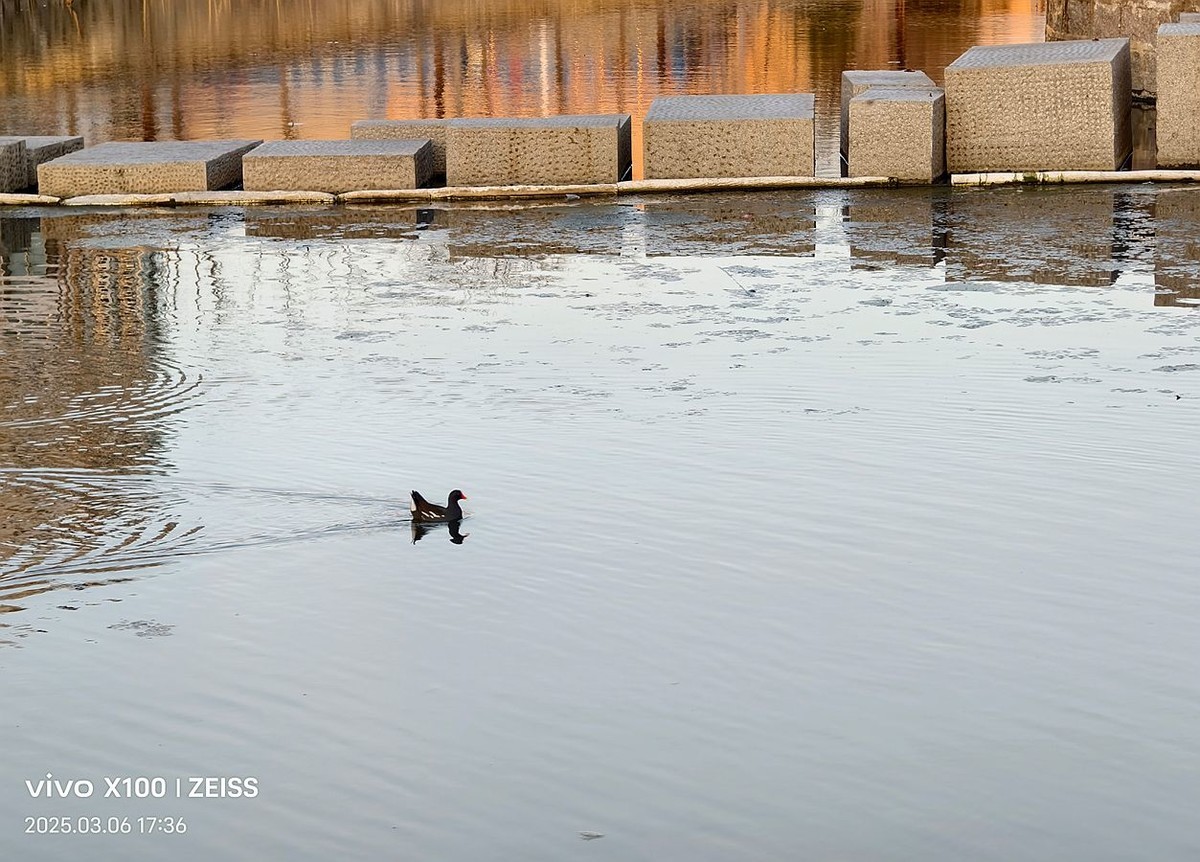 傍晚云溪河遛弯随拍