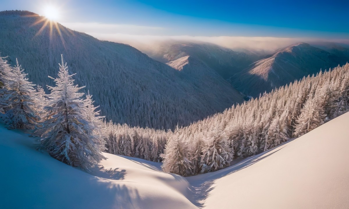 洗净心灵的尘埃