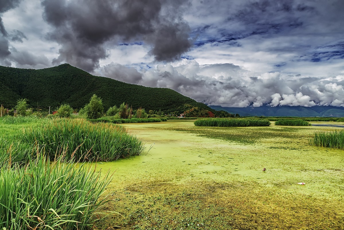 四川盐源 · 泸沽湖 · 草海