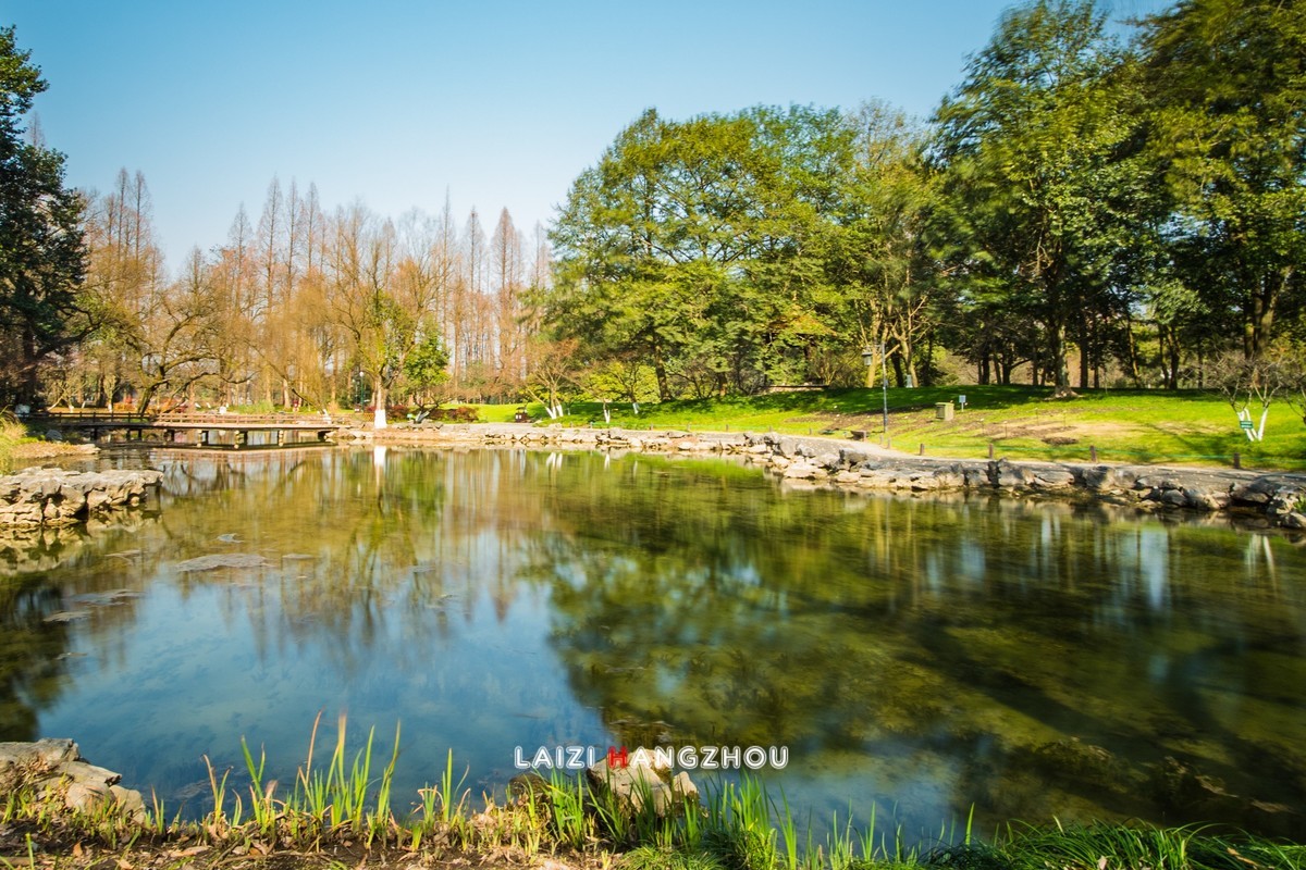 10档减光镜+慢门（4）