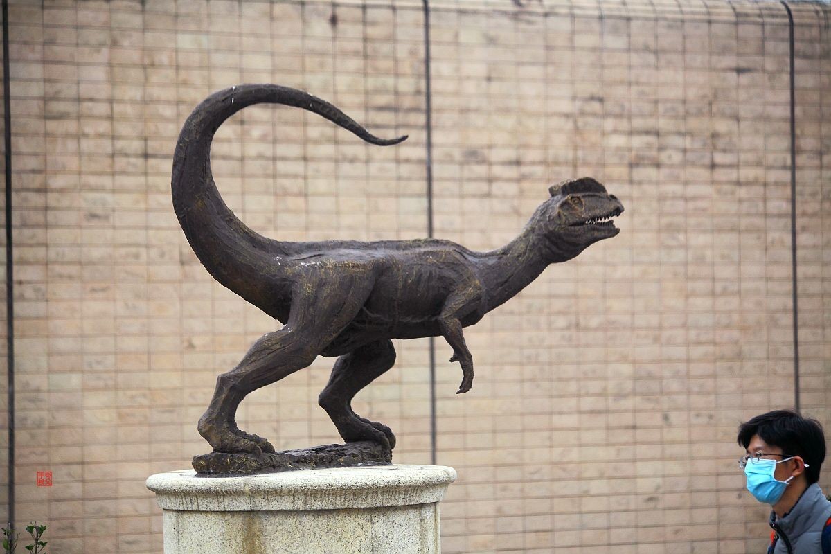 自贡恐龙博物馆（一）