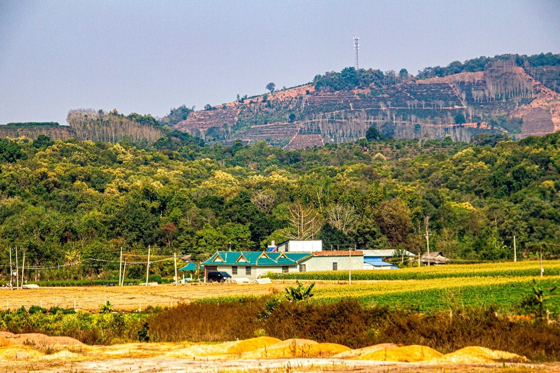 坐着火车到版纳沿途风光【3】