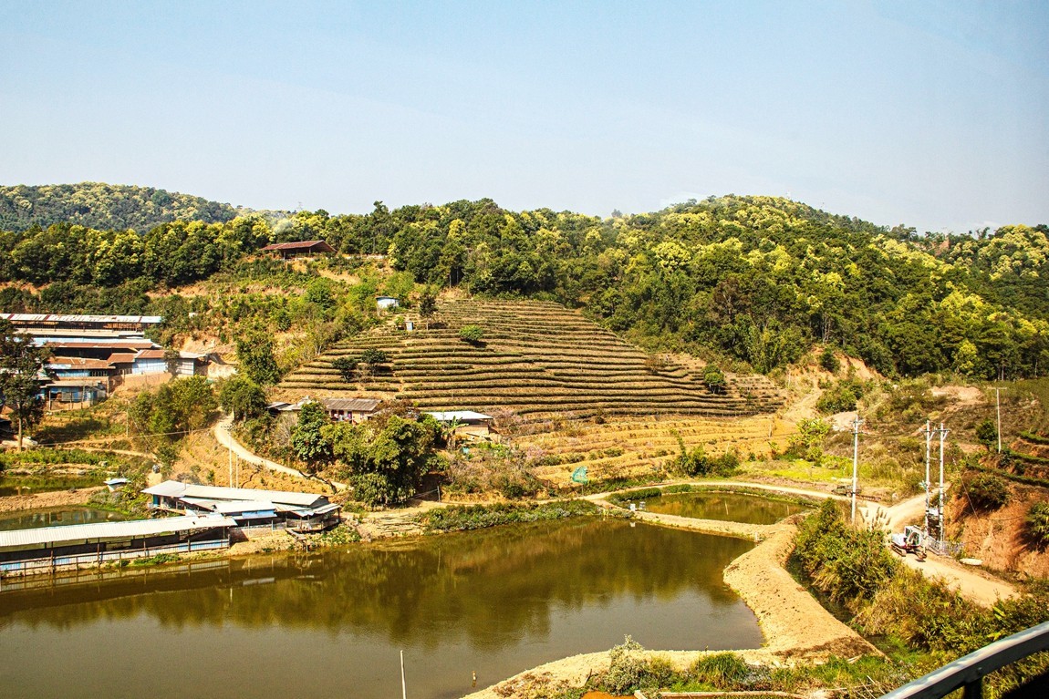 坐着火车到版纳沿途风光【4】