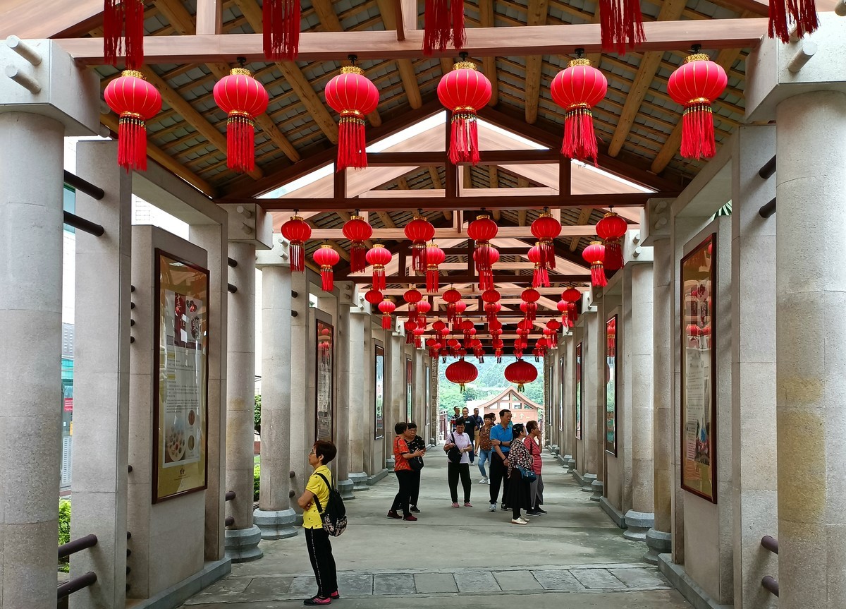 神农中药园-下。