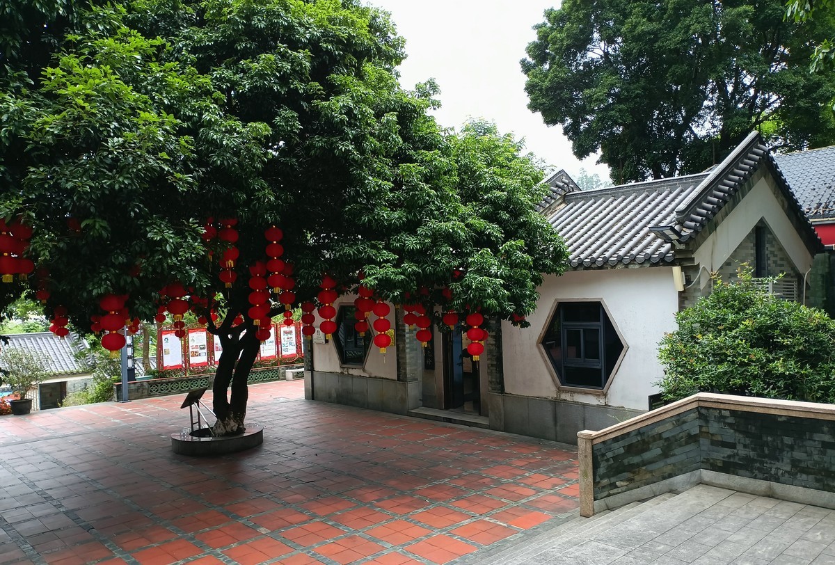 神农中药园-下。