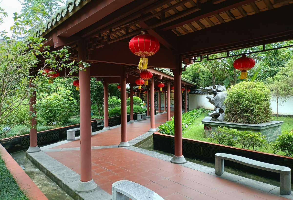 神农中药园-下。