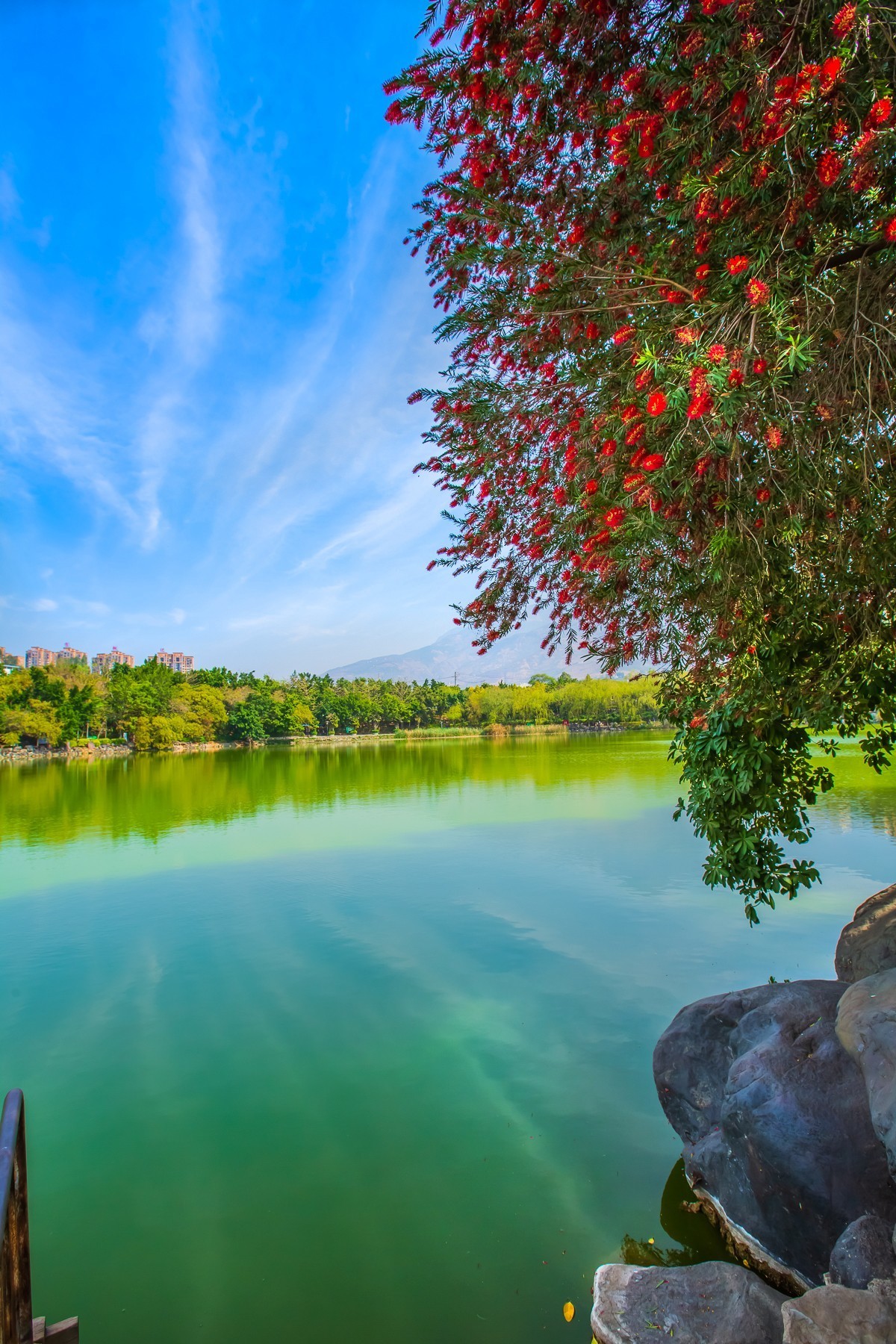 2024-10-10云南东川石头园（一）