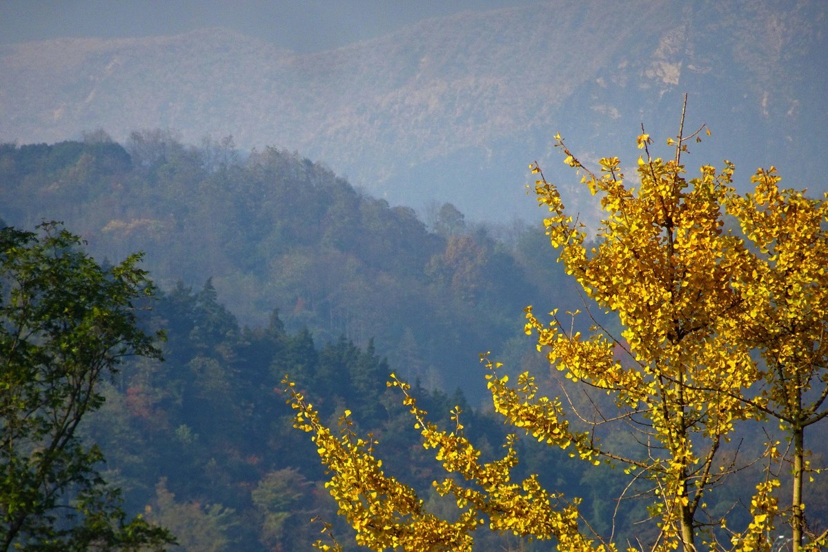 雪山下的山村田野