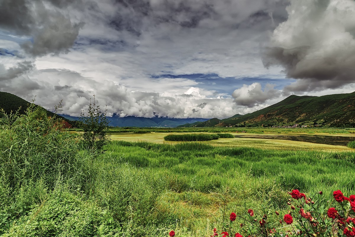 四川盐源 · 泸沽湖 · 草海