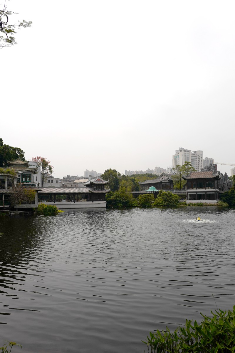 荔湾湖公园随拍(3.15)(1)