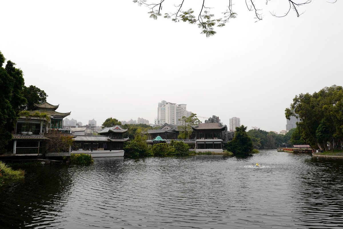 荔湾湖公园随拍（3.15）（1）
