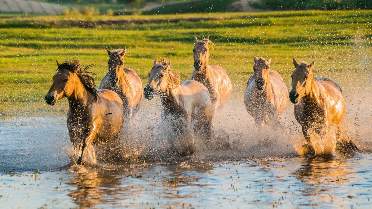 疾马飞浪，激情万丈------