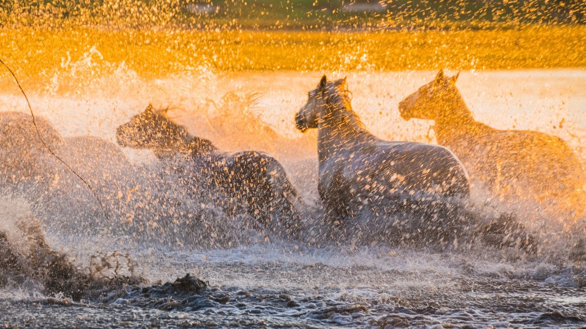 疾马飞浪，激情万丈------