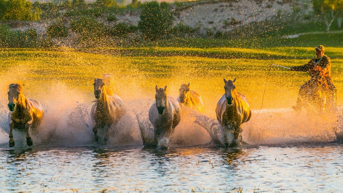 疾马飞浪，激情万丈------