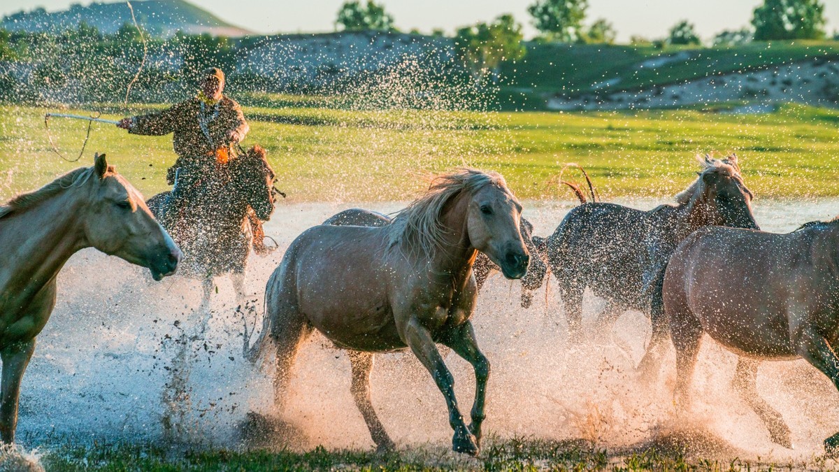 疾马飞浪，激情万丈------