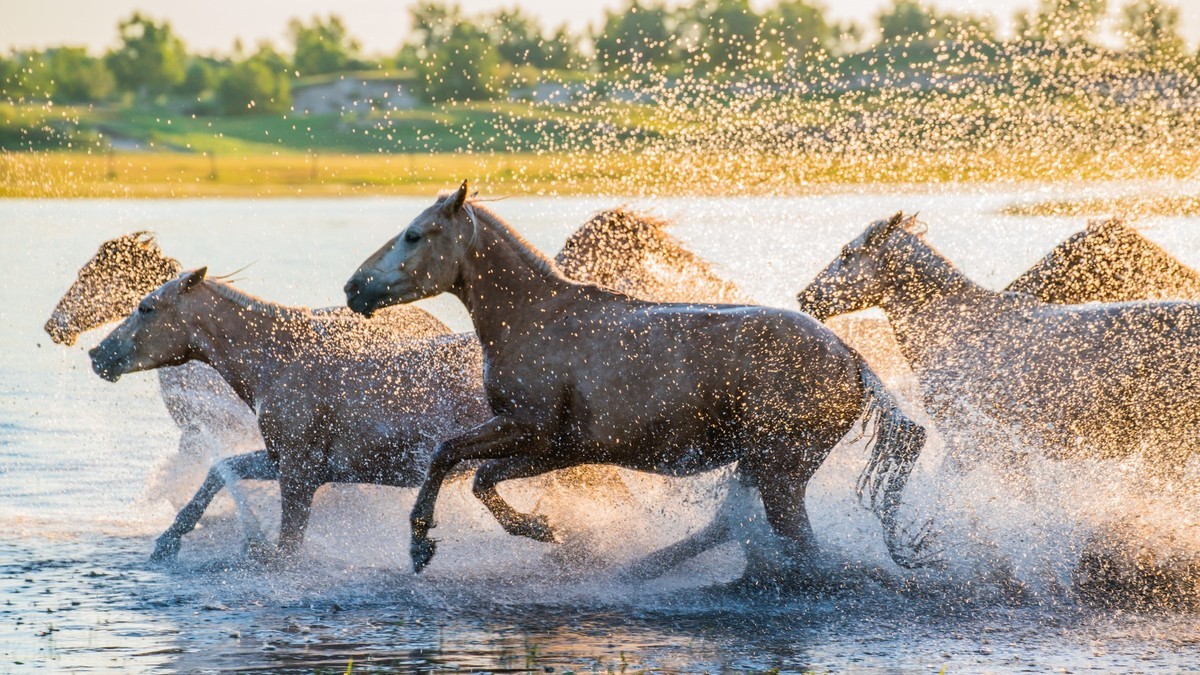 疾马飞浪，激情万丈------