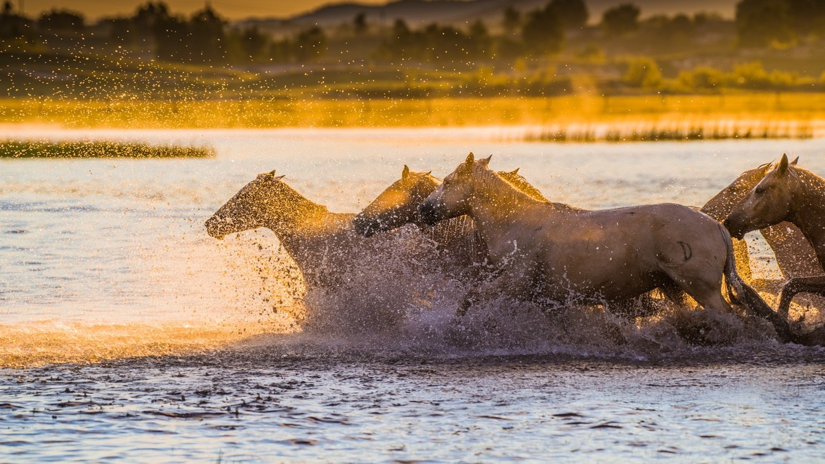 疾马飞浪，激情万丈------