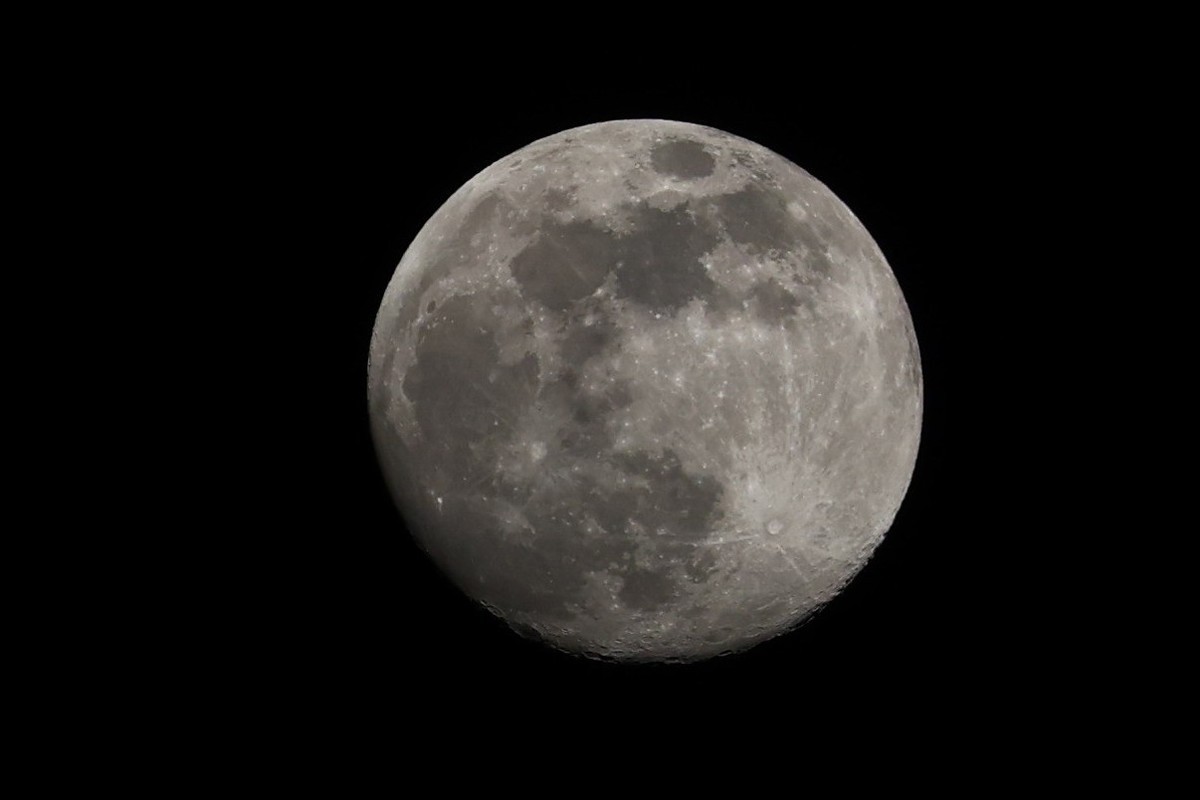 升级了，先拍花