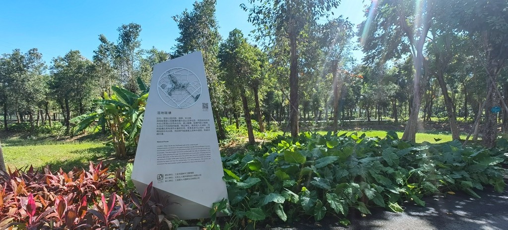 带着手机去旅行《走进三亚湿地公园--东岸湿地公园》
