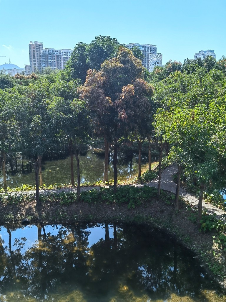 带着手机去旅行《走进三亚湿地公园--东岸湿地公园》