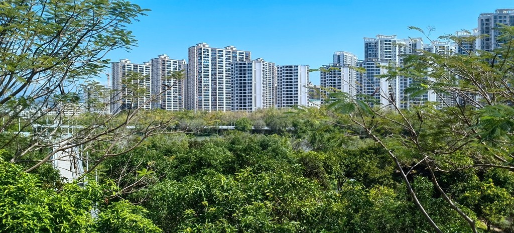 带着手机去旅行《走进三亚湿地公园--东岸湿地公园》