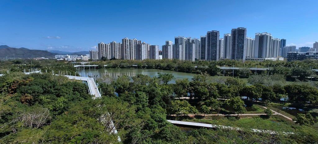 带着手机去旅行《走进三亚湿地公园--东岸湿地公园》
